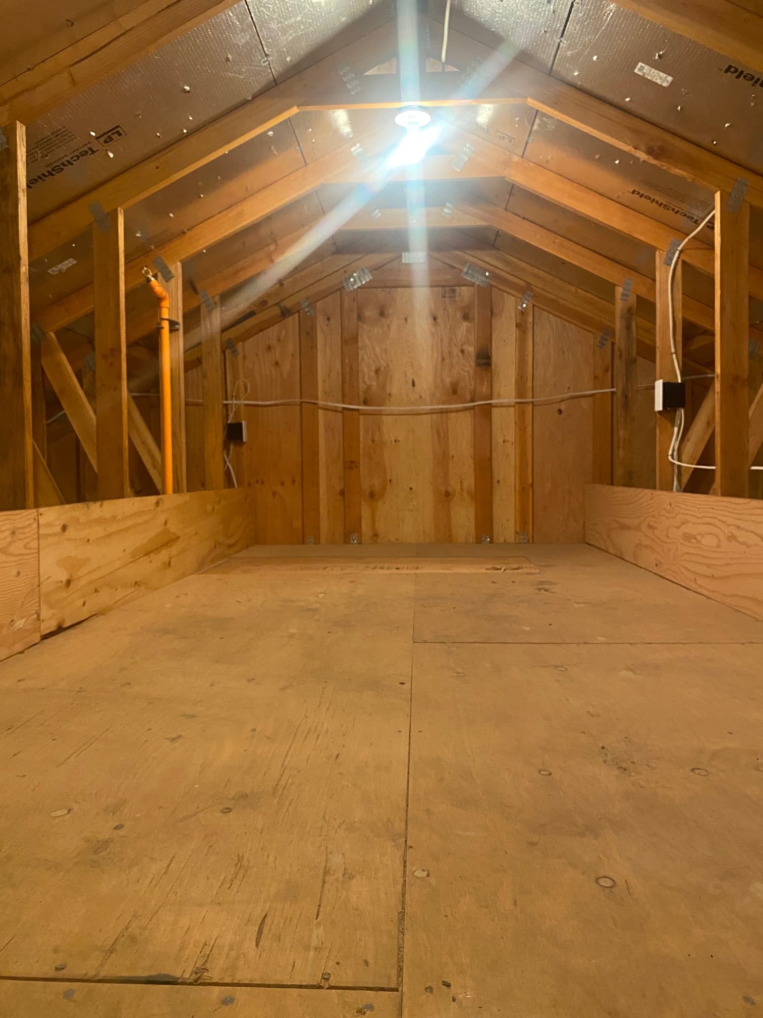 ADU crawlspace and attic
